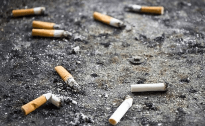 Chicken Bones & Dog&nbsp;Ends