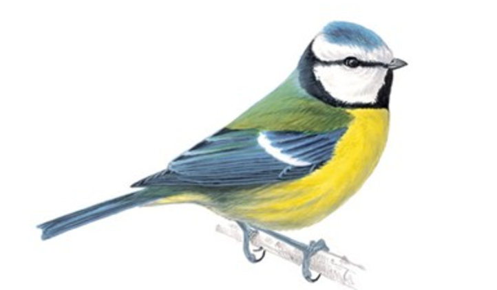 screenshot-2017-02-19-15-10-22